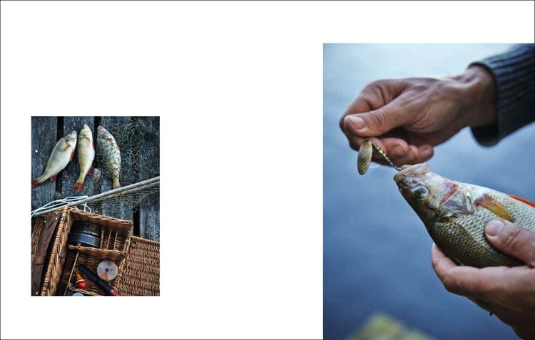 Produktbild: Gone Fishing: Fisch und Meeresfr&uuml;chte
