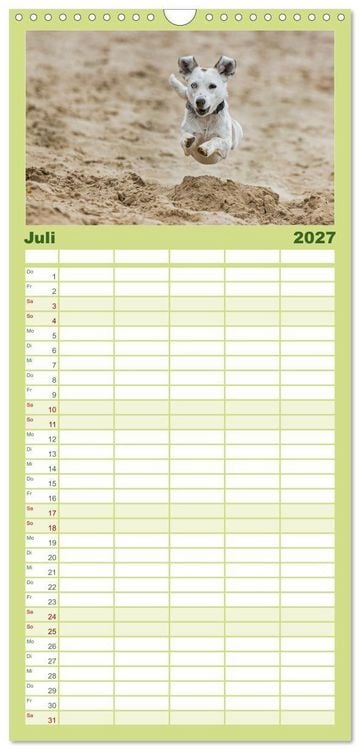 Produktbild: Familienplaner 2027 - Hunde Action mit 5 Spalten (Wandkalender, 21 x 45 cm) CALVENDO