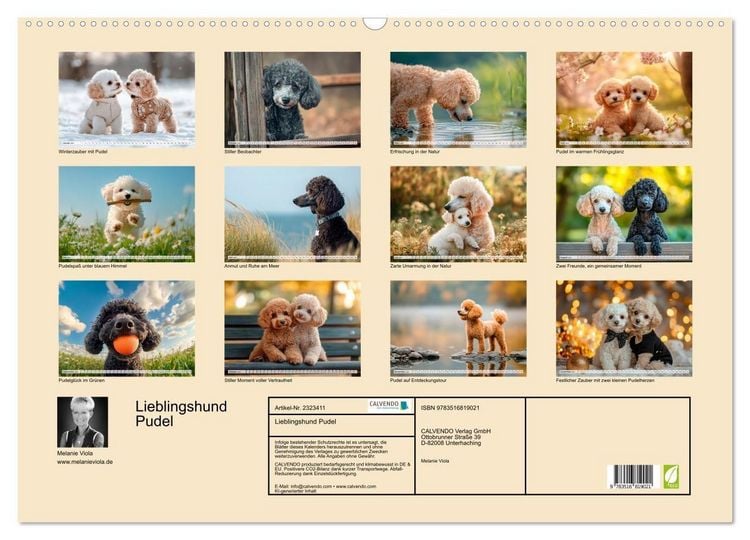 Produktbild: Lieblingshund Pudel (Wandkalender 2027 DIN A2 quer), CALVENDO Monatskalender