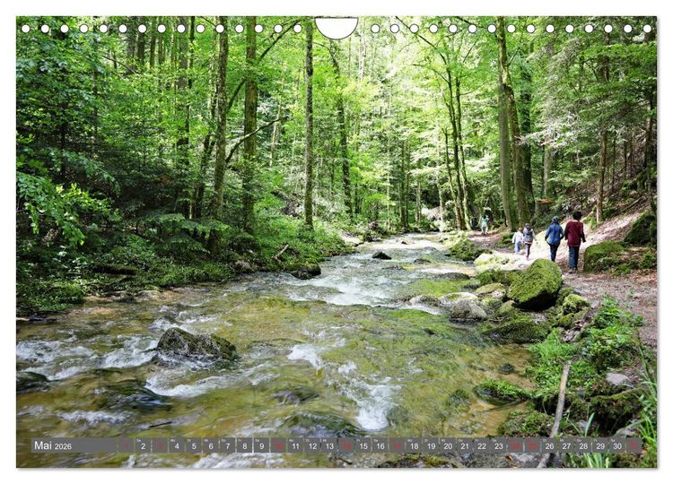 Produktbild: Schwarzwald-Wanderungen (Wandkalender 2026 DIN A4 quer), CALVENDO Monatskalender