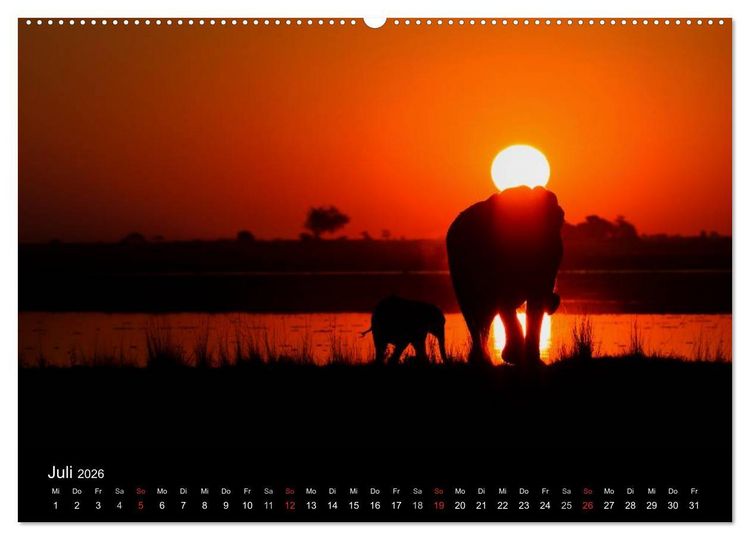Produktbild: Elefanten - Die sanften Riesen Afrikas (Wandkalender 2026 DIN A2 quer), CALVENDO Monatskalender