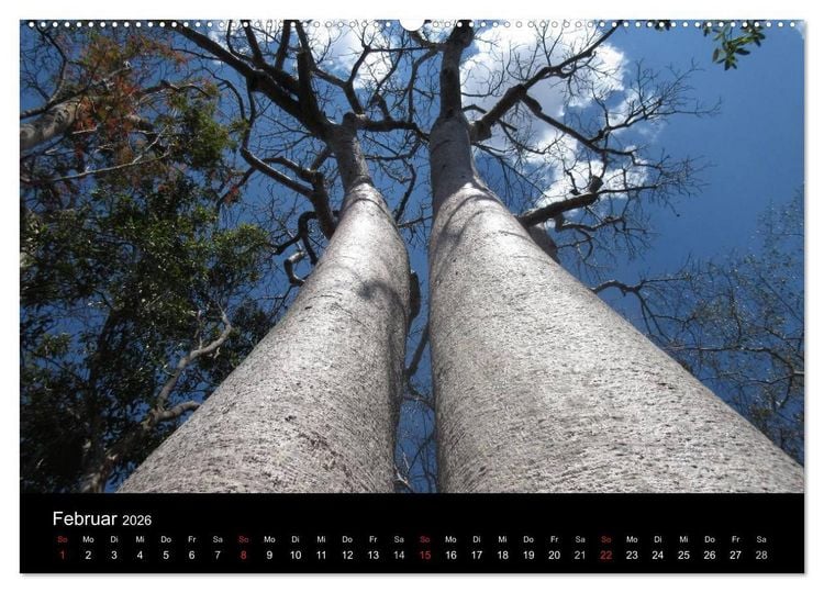 Produktbild: Abenteuer Madagaskar (hochwertiger Premium Wandkalender 2026 DIN A2 quer), Kunstdruck in Hochglanz