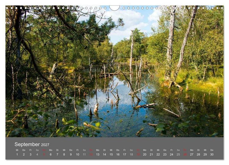 Produktbild: Moor- und Heidelandschaften Niedersachsen (Wandkalender 2027 DIN A3 quer), CALVENDO Monatskalender