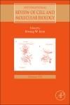 Produktbild: International Review of Cell and Molecular Biology