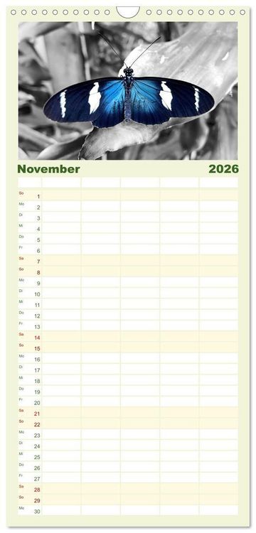 Produktbild: Familienplaner 2026 - Gefl&uuml;gelte Sch&ouml;nheiten der Tropen mit 5 Spalten (Wandkalender, 21 x 45 cm) CALVENDO
