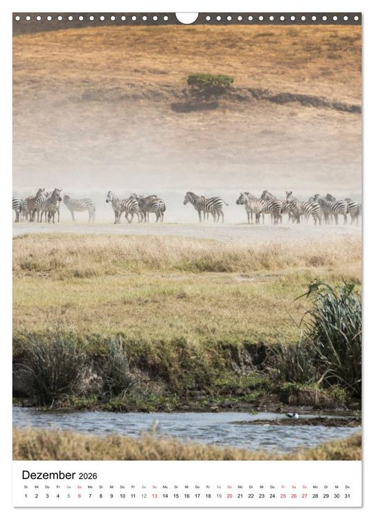 Produktbild: Serengeti Pur - Tansania (Wandkalender 2026 DIN A3 hoch), CALVENDO Monatskalender