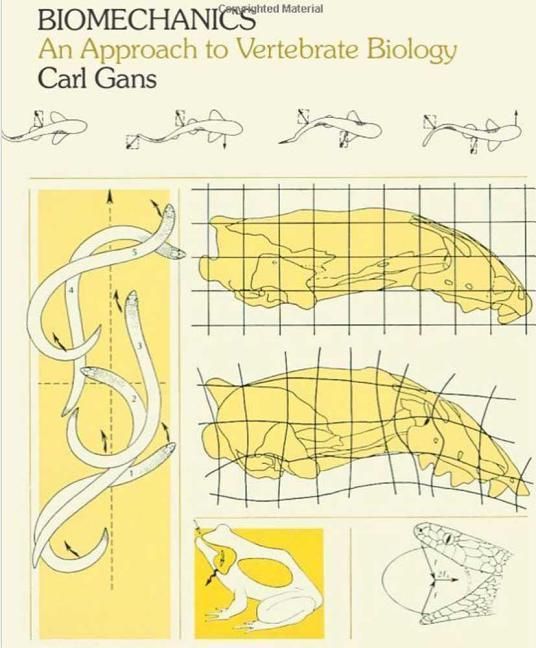 Produktbild: Biomechanics