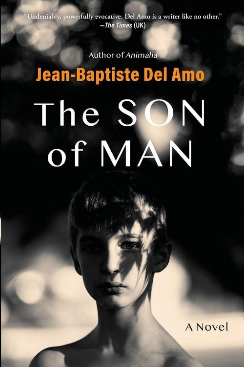 Produktbild: The Son of Man