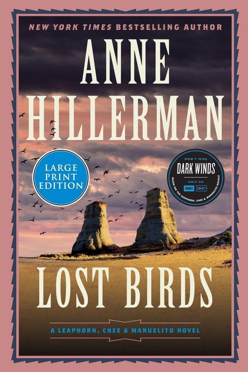 Produktbild: Lost Birds