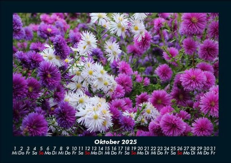 Produktbild: Blumenkalender 2025 Fotokalender DIN A5