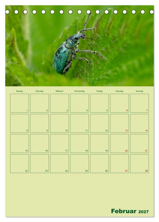 Produktbild: Die Welt der Insekten (Tischkalender 2027 DIN A5 hoch), CALVENDO Monatskalender