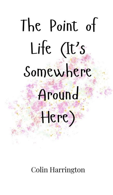 Produktbild: The Point of Life (It's Somewhere Around Here)
