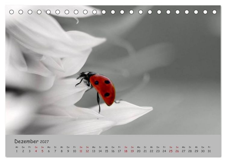 Produktbild: Gl&uuml;cksk&auml;fer (Tischkalender 2027 DIN A5 quer), CALVENDO Monatskalender