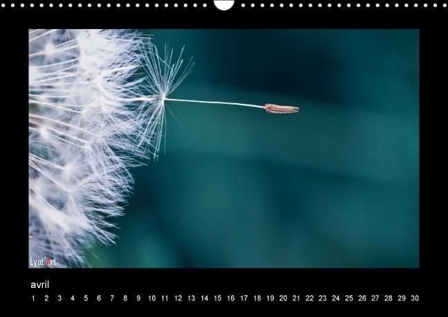 Produktbild: Liatard, A: Fleurs et couleurs (Calendrier mural Calendrier