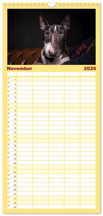 Produktbild: Familienplaner 2026 - Bullterrier mit 5 Spalten (Wandkalender, 21 x 45 cm) CALVENDO