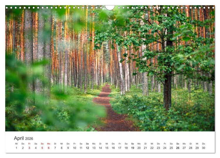 Produktbild: Weisheit - Der Weg ist das Ziel (Wandkalender 2026 DIN A3 quer), CALVENDO Monatskalender