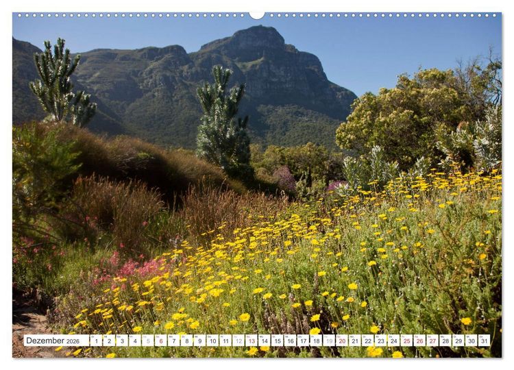 Produktbild: S&uuml;dafrika - Kapstadt (hochwertiger Premium Wandkalender 2026 DIN A2 quer), Kunstdruck in Hochglanz