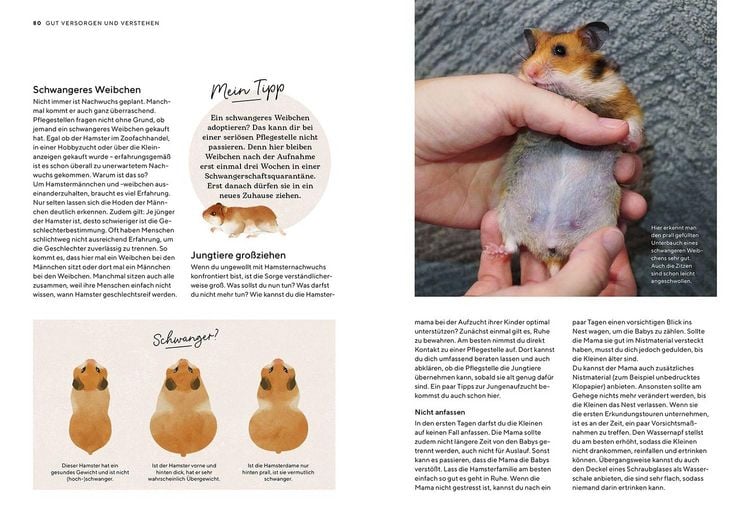 Produktbild: Hamster