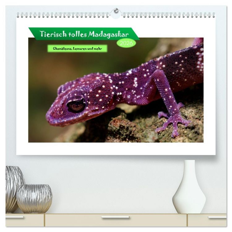 Produktbild: Tierisch tolles Madagaskar - Cham&auml;leons, Lemuren und mehr (hochwertiger Premium Wandkalender 2026 DIN A2 quer), Kunstdruck in Hochglanz