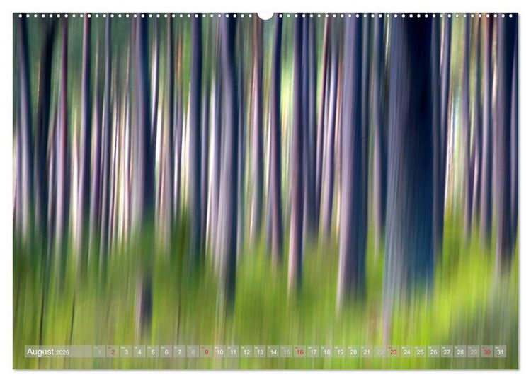 Produktbild: Atelier Wald - gemalt mit Licht (Wandkalender 2026 DIN A2 quer), CALVENDO Monatskalender