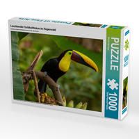 Produktbild: CALVENDO Puzzle Leuchtender Goldkehltukan im Regenwald | 1000 Teile Lege-Gr&ouml;&szlig;e 64x48cm Foto-Puzzle f&uuml;r gl&uuml;ckliche Stunden