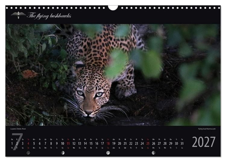 Produktbild: Botswana Blickwinkel 2027 (Wandkalender 2027 DIN A3 quer), CALVENDO Monatskalender