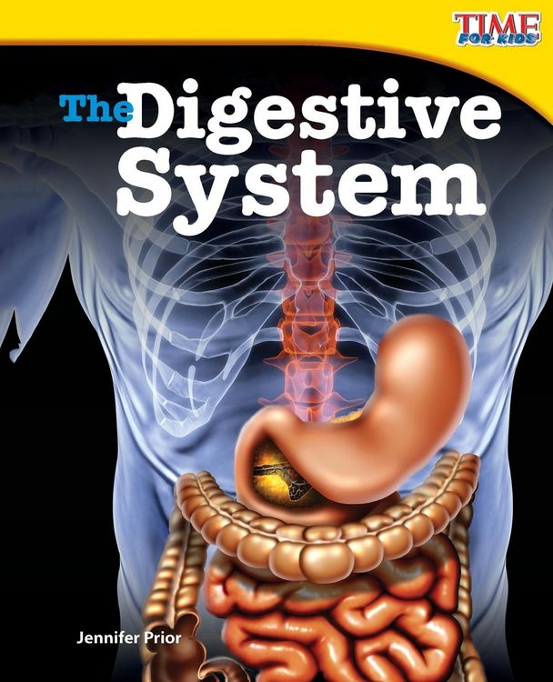 Produktbild: The Digestive System