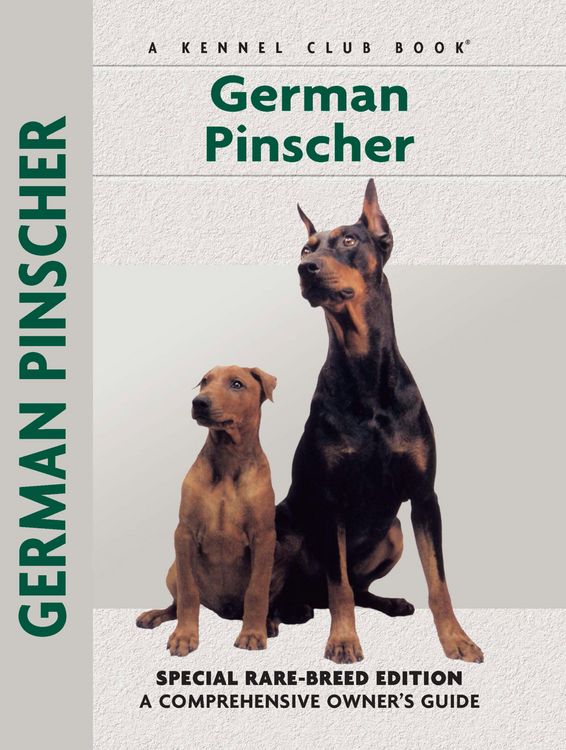 Produktbild: German Pinscher