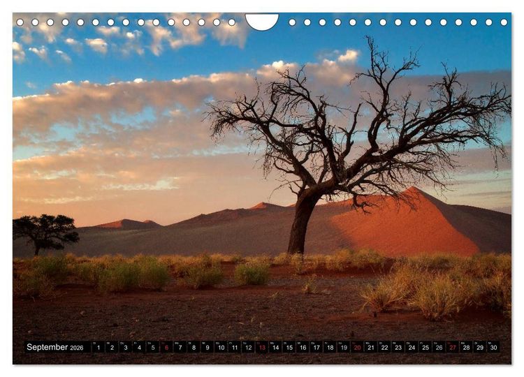 Produktbild: Afrikas B&auml;ume (Wandkalender 2026 DIN A4 quer), CALVENDO Monatskalender