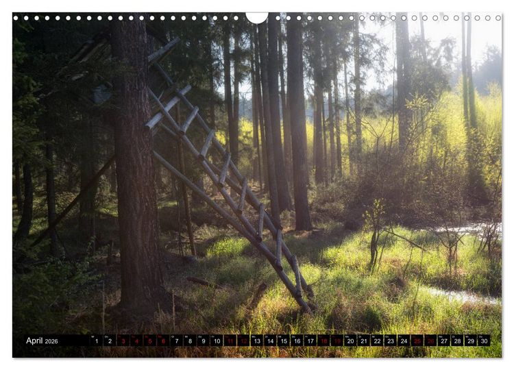Produktbild: Kanzeln im Revier (Wandkalender 2026 DIN A3 quer), CALVENDO Monatskalender