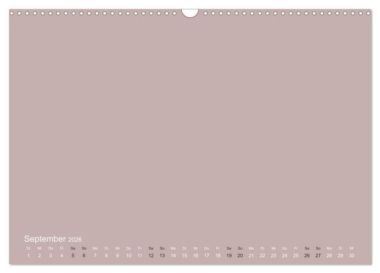Produktbild: DIY Bastel-Kalender -Erdige Pastell Farben- Zum Selbstgestalten (Wandkalender 2026 DIN A3 quer), CALVENDO Monatskalender