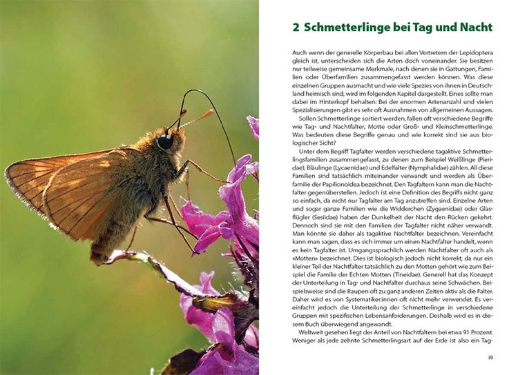 Produktbild: Schmetterlingswissen