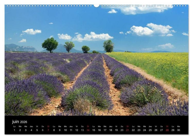 Produktbild: Paysages de Provence (Calendrier mural 2026 DIN A2 vertical) calendrier de bureau
