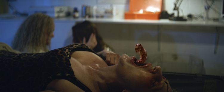 Produktbild: Area 51 - Das Alien-Portal