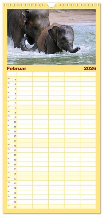 Produktbild: Familienplaner 2026 - Elefanten. Badespa&szlig; am Strand mit 5 Spalten (Wandkalender, 21 x 45 cm) CALVENDO