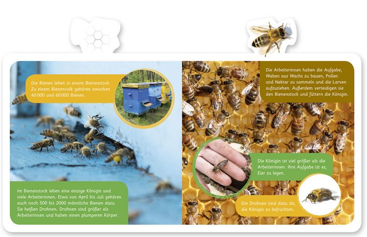Produktbild: Die Biene
