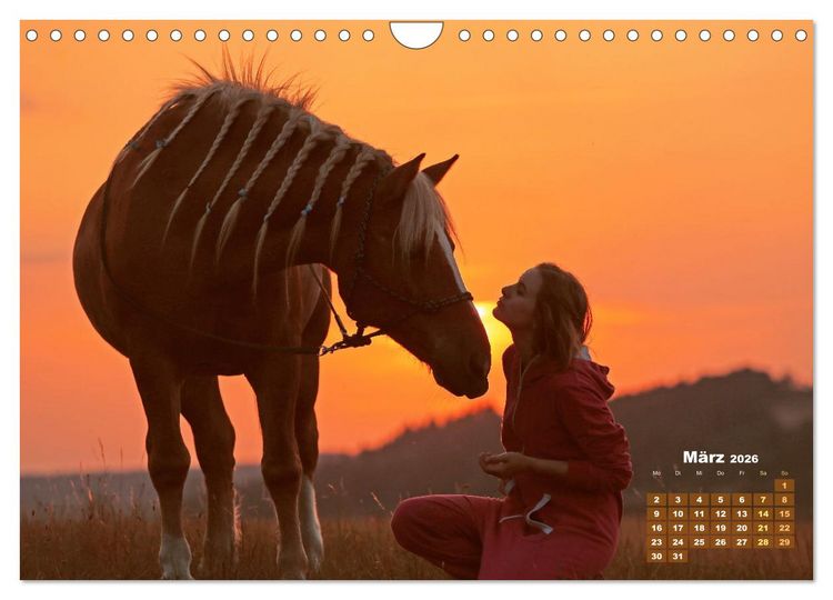 Produktbild: Haflinger: Die blonden Pferde von der Alm (Wandkalender 2026 DIN A4 quer), CALVENDO Monatskalender