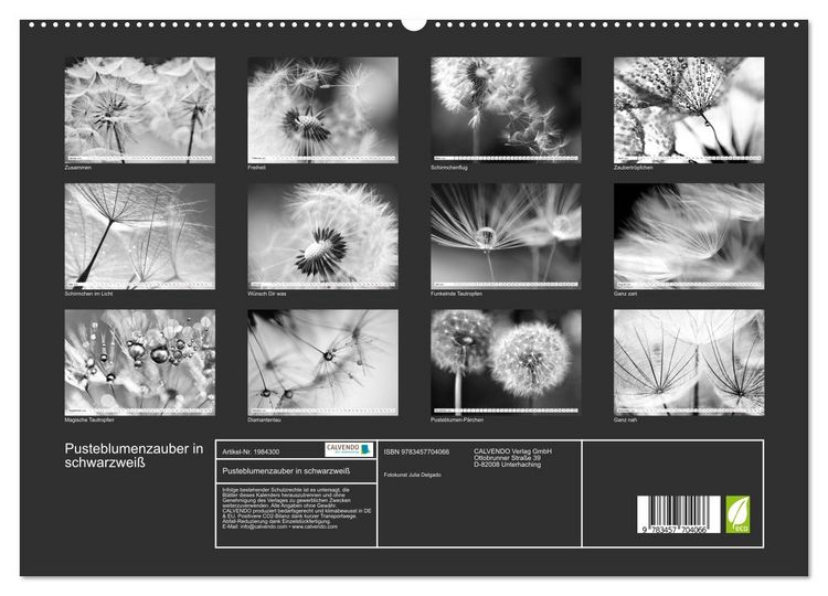 Produktbild: Pusteblumenzauber in schwarzwei&szlig; (hochwertiger Premium Wandkalender 2026 DIN A2 quer), Kunstdruck in Hochglanz