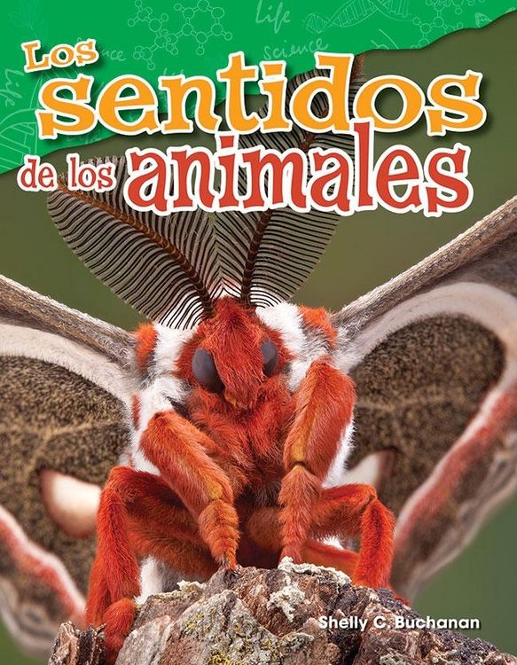 Produktbild: Los sentidos de los animales