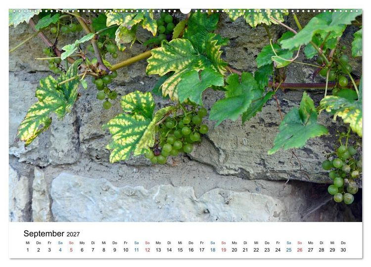 Produktbild: Freyburg an der Unstrut (hochwertiger Premium Wandkalender 2027 DIN A2 quer), Kunstdruck in Hochglanz