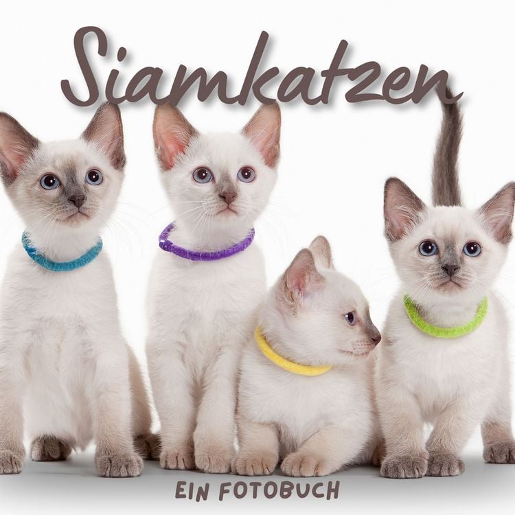 Produktbild: Siamkatzen