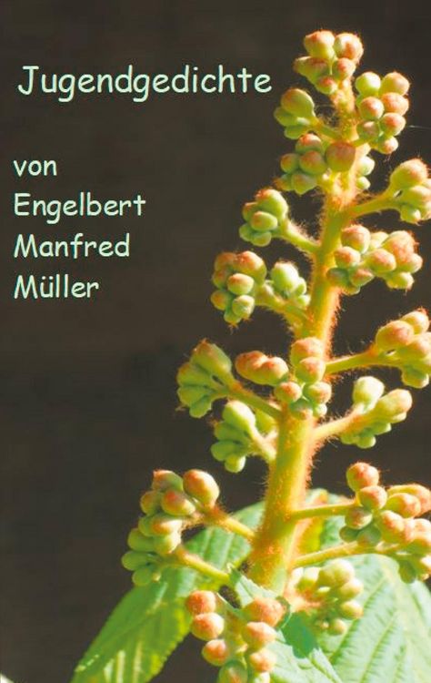 Produktbild: Jugendgedichte