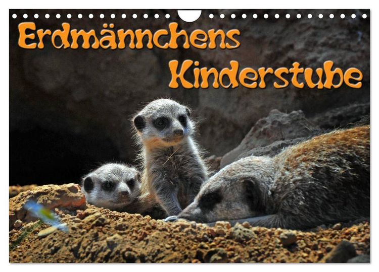 Produktbild: Erdm&auml;nnchens Kinderstube (Wandkalender 2026 DIN A4 quer), CALVENDO Monatskalender