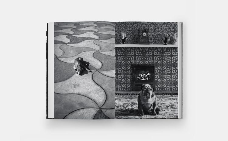 Produktbild: Hunde lieben