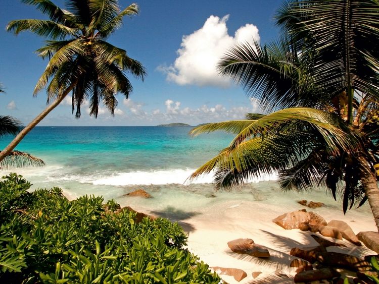 Produktbild: CALVENDO Puzzle La Digue Seychellen | 1000 Teile Lege-Gr&ouml;&szlig;e 64x48cm Foto-Puzzle f&uuml;r gl&uuml;ckliche Stunden
