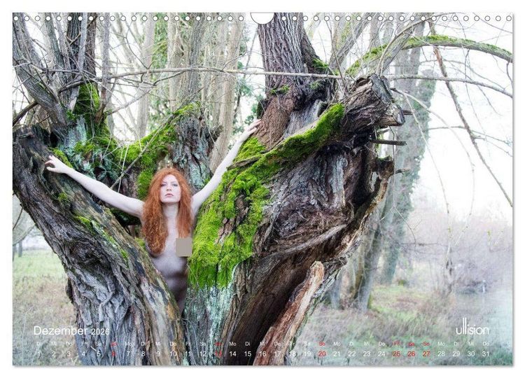 Produktbild: Lieblingsb&auml;ume - eins mit der Natur (Wandkalender 2026 DIN A3 quer), CALVENDO Monatskalender