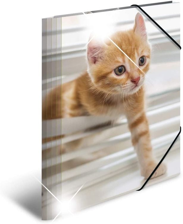 Produktbild: Herma Sammelmappe A4 Tiere - Katzen