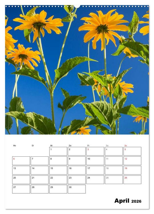 Produktbild: Farben der Natur (hochwertiger Premium Wandkalender 2026 DIN A2 hoch), Kunstdruck in Hochglanz