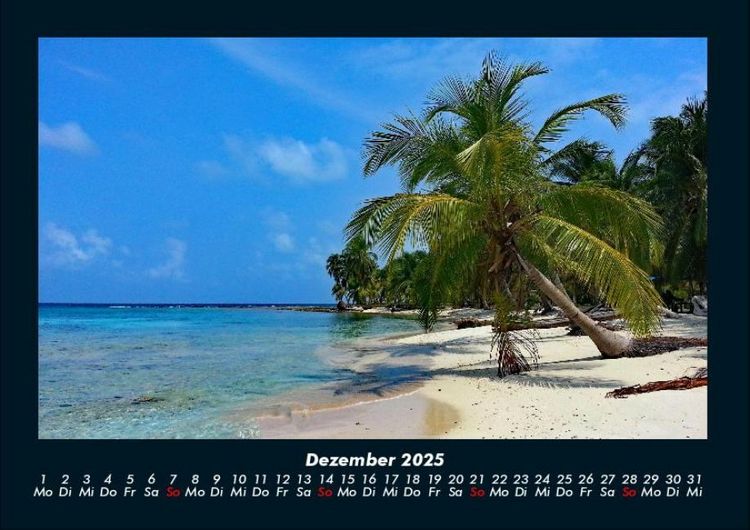 Produktbild: Palmentraum 2025 Fotokalender DIN A4