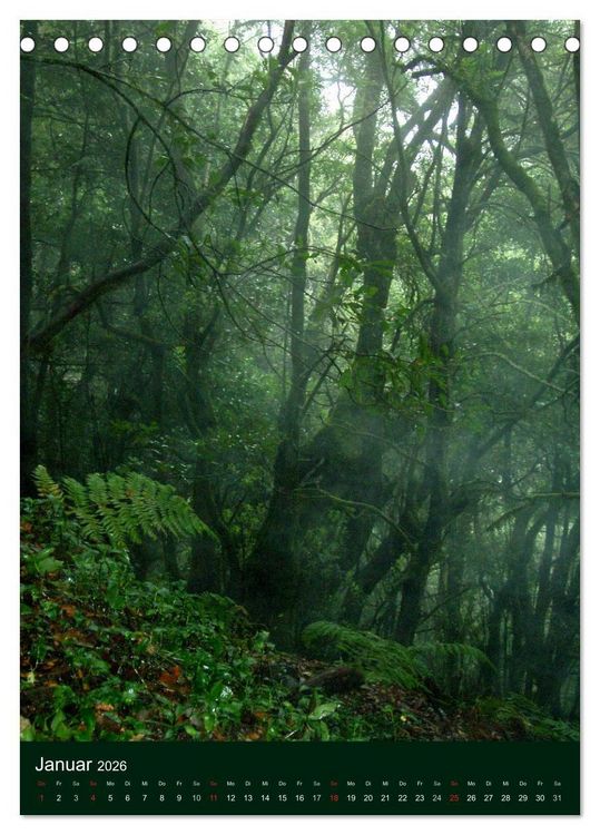 Produktbild: Inseltraum La Gomera (Tischkalender 2026 DIN A5 hoch), CALVENDO Monatskalender